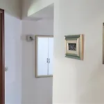 Apartman Blue Stella Luxury