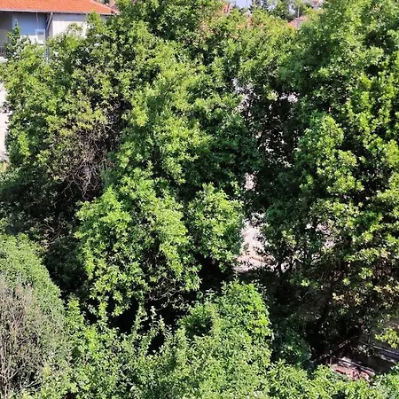 Blue Stella Luxury * Split